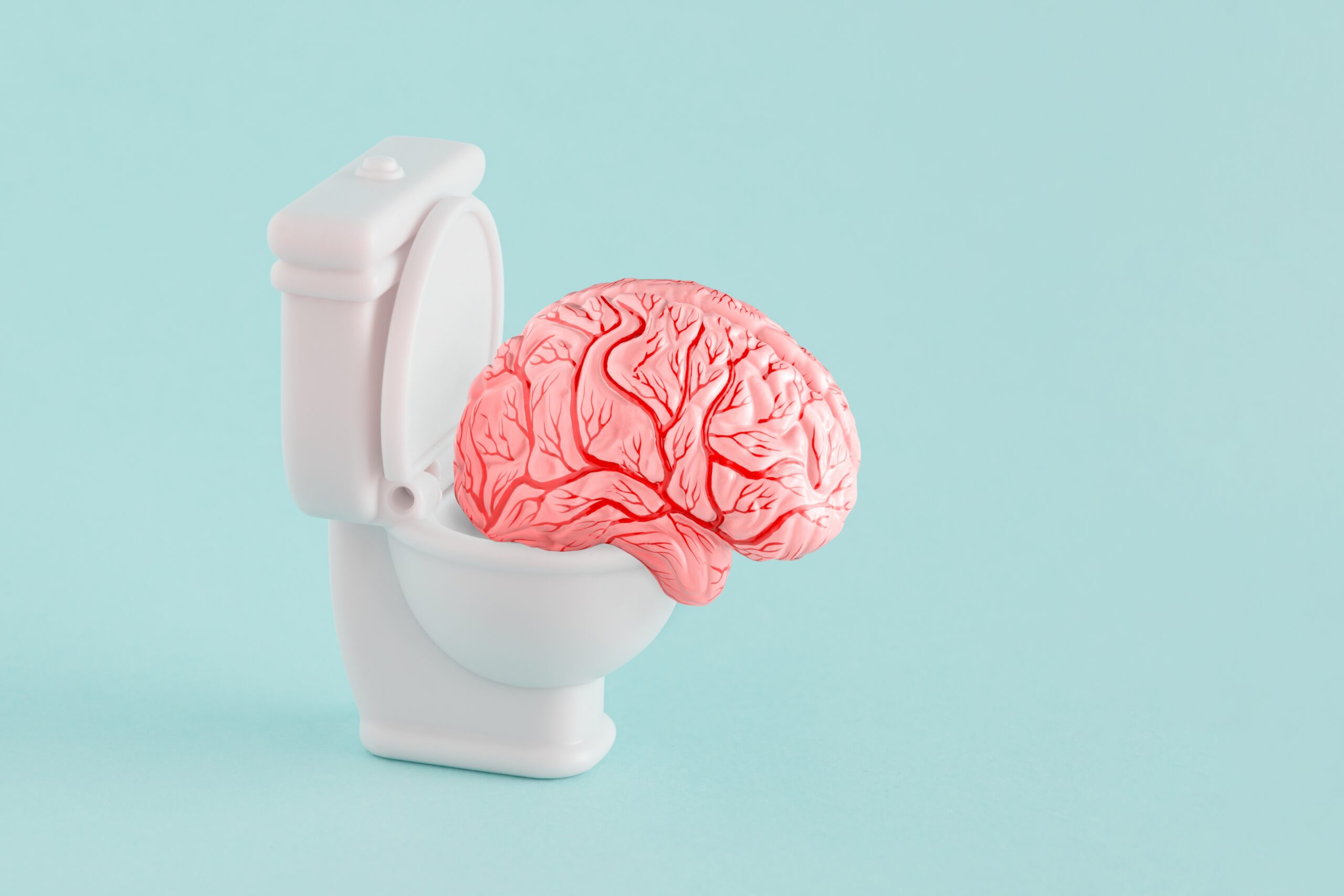 CIRS mould illness Brain Fog