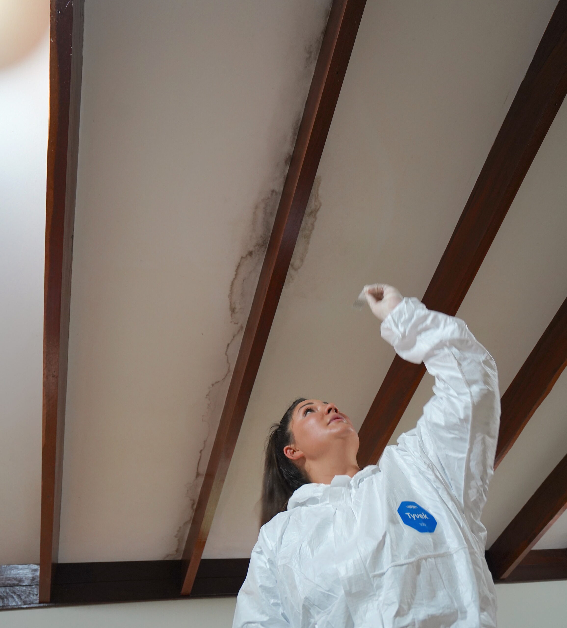 Mould audit Mould audit building biologist naturopath