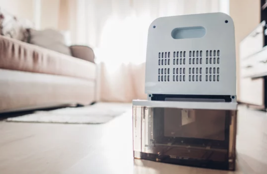 Water damage mould dehumidifier