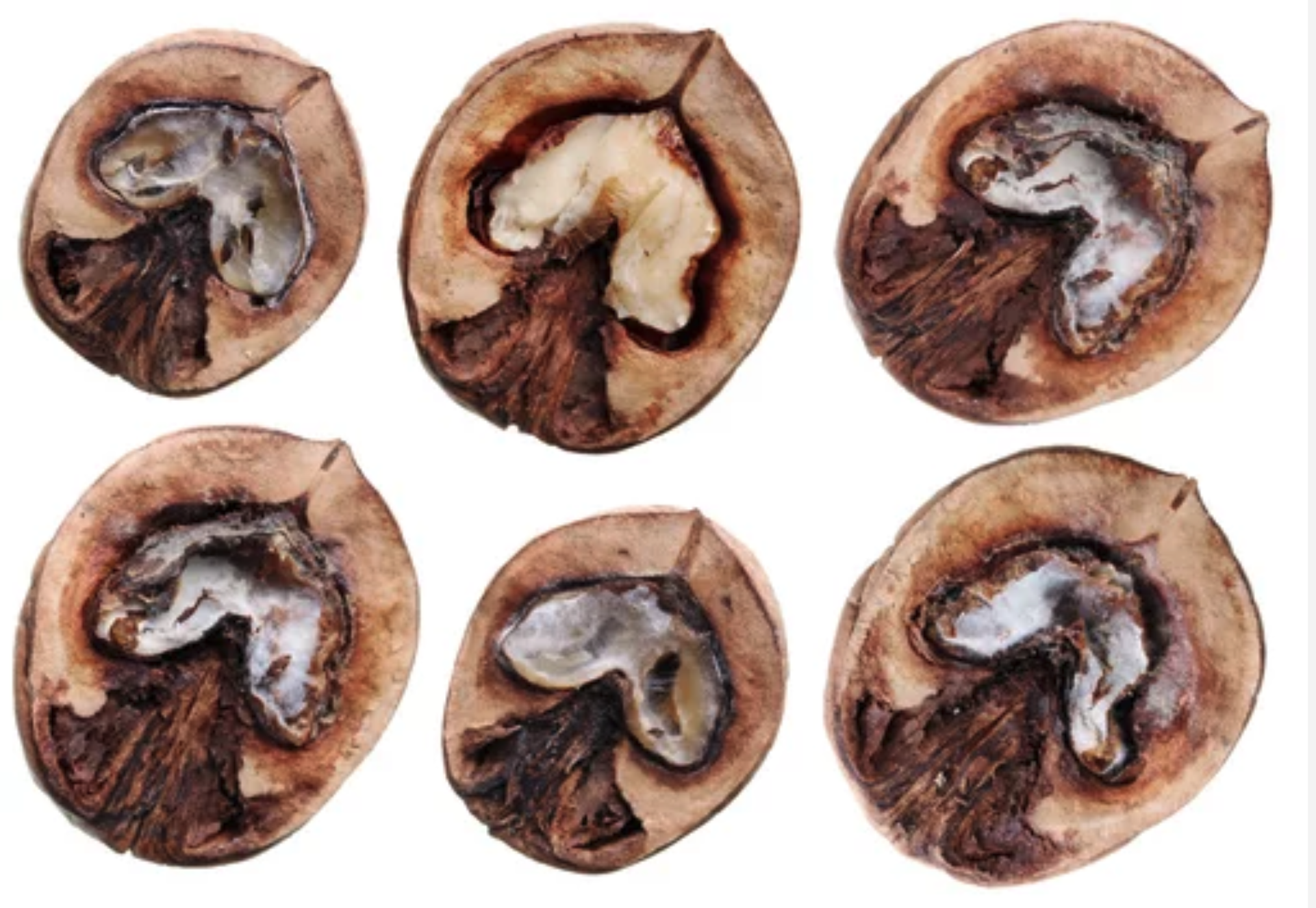 mouldy foods, mycotoxins, mould illness, CIRS