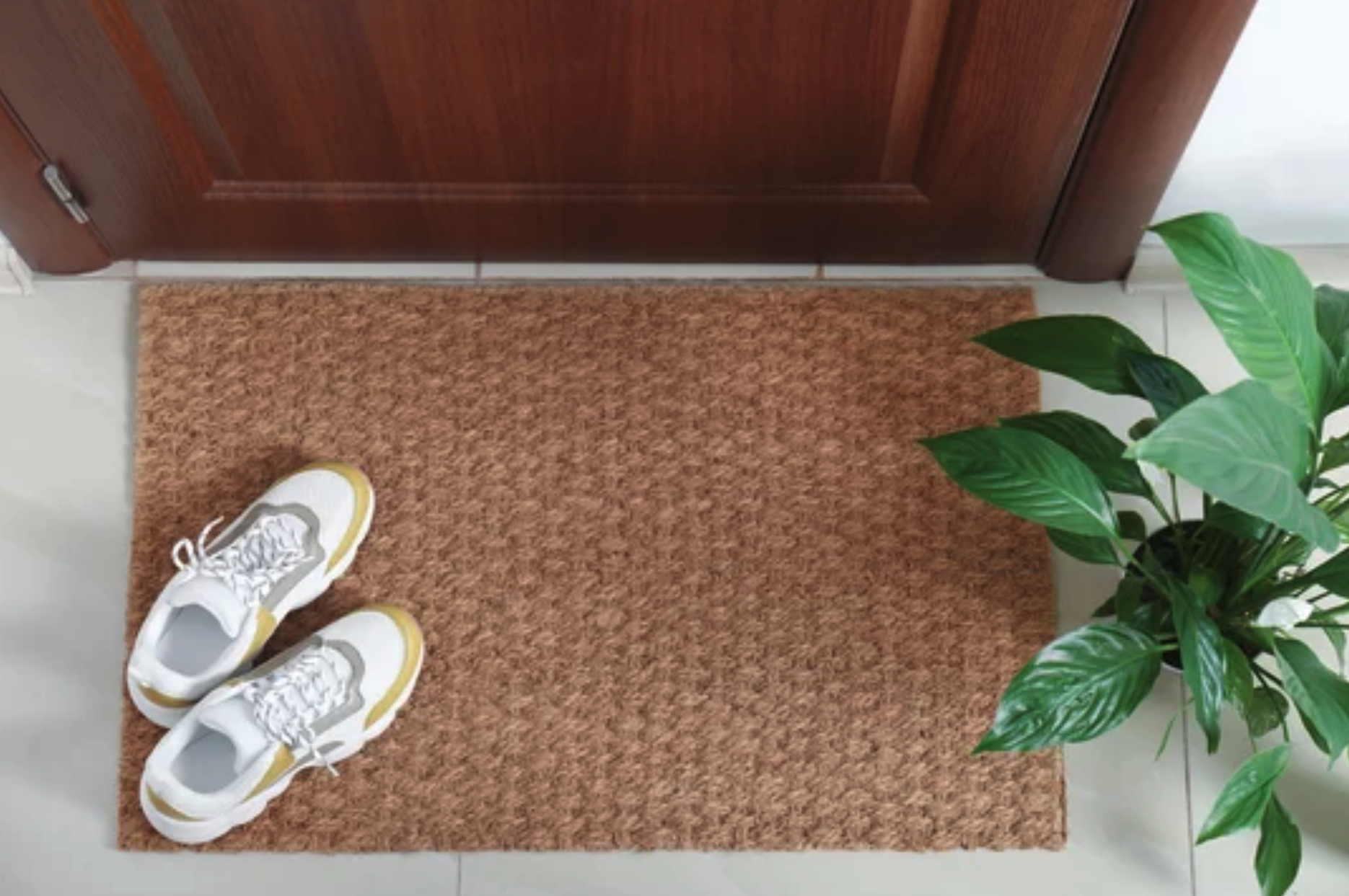 Shoes off inside, pesticides, immune system, dirt